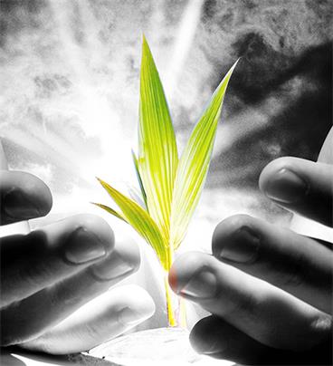 Ƶ羺ܿƼ޹˾Ʒ(ͼ2)